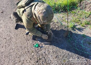 Запорізькі поліцейські врятували їжака