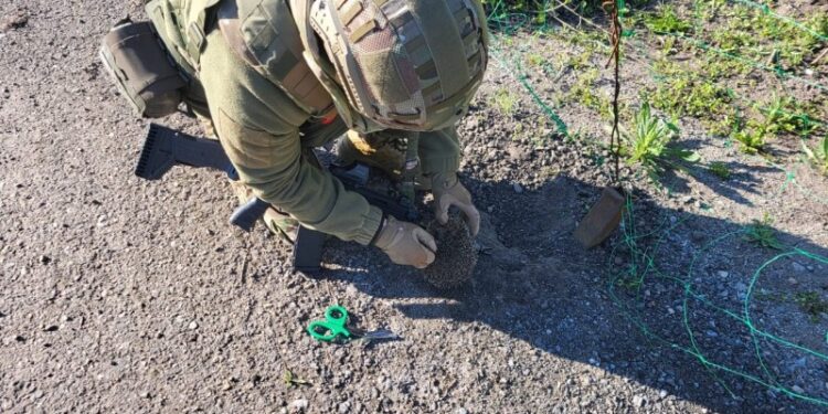 Запорізькі поліцейські врятували їжака