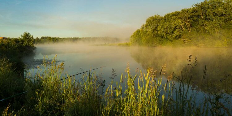 Водойма