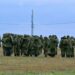Військові РФ