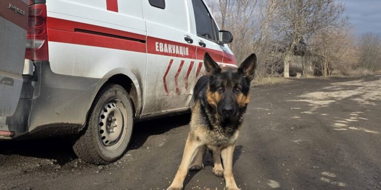 Евакуація