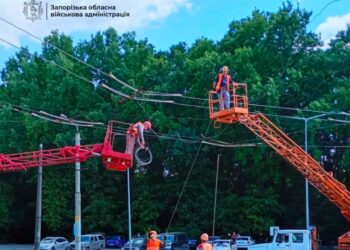 антидронові сітки
